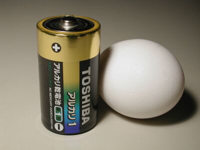 乾電池と卵