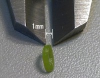 1mm ̔K