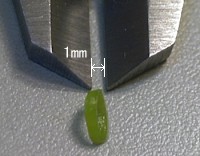 1mm ̔K